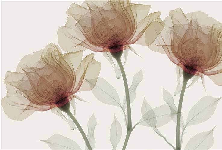 Download 3D Textures Inner Sense
