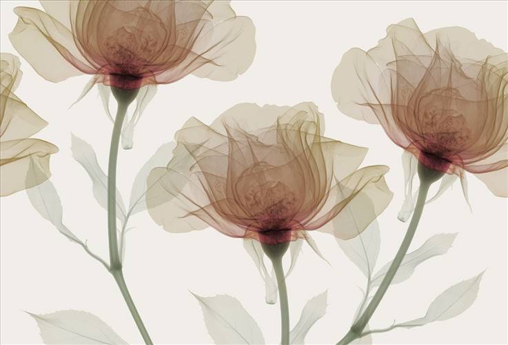 Download 3D Textures Inner Sense
