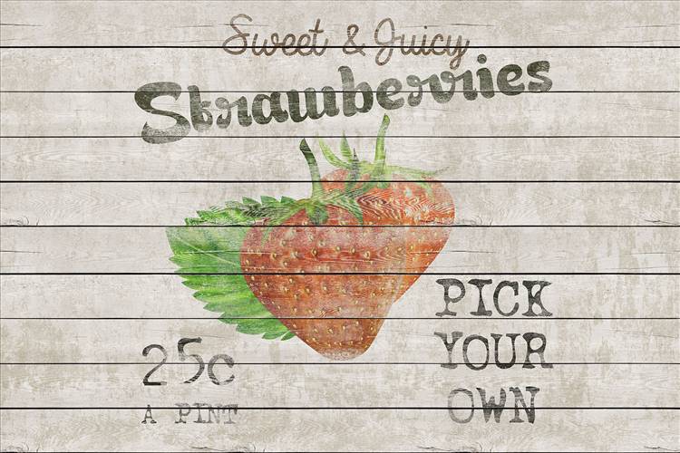 Download 3D Textures Harvest