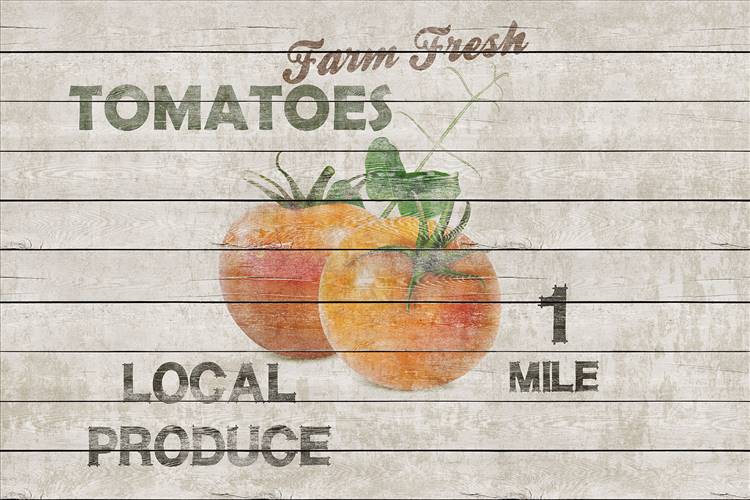 Download 3D Textures Harvest