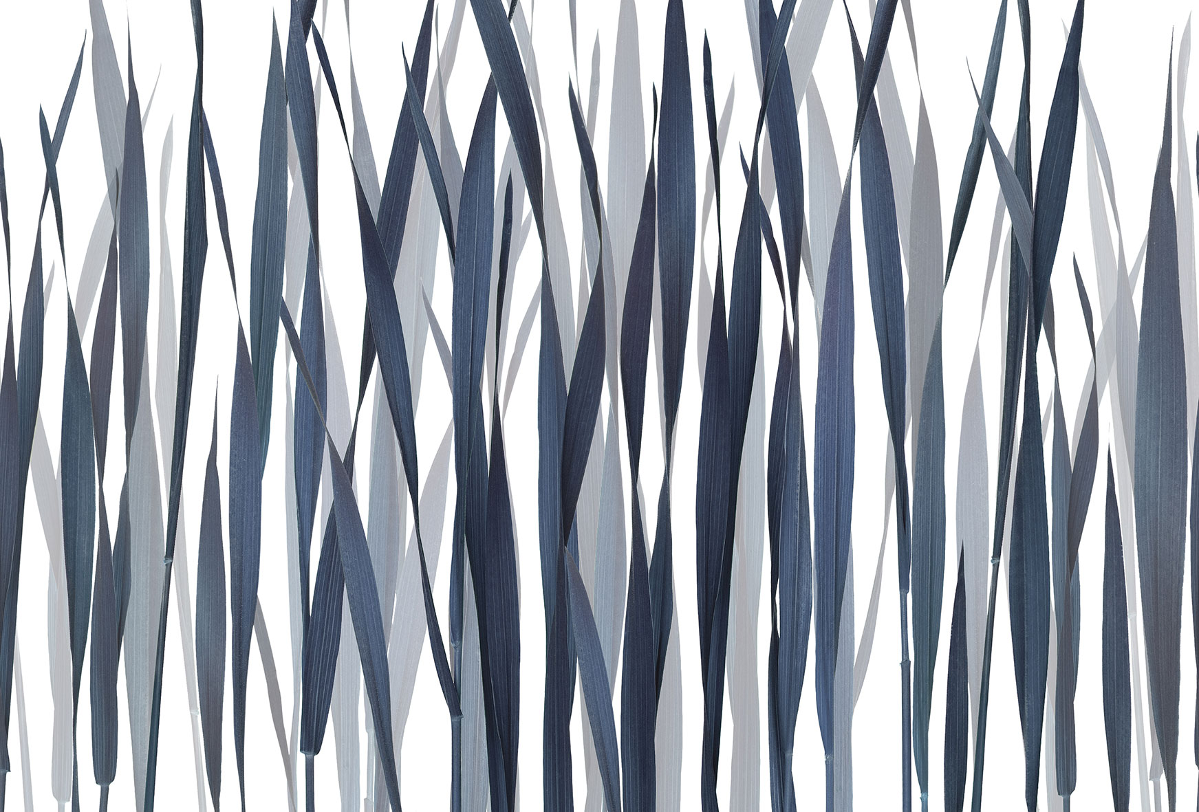 3d Textures for 3ds Max and other software - Glamora-Greenfields-GL2012A