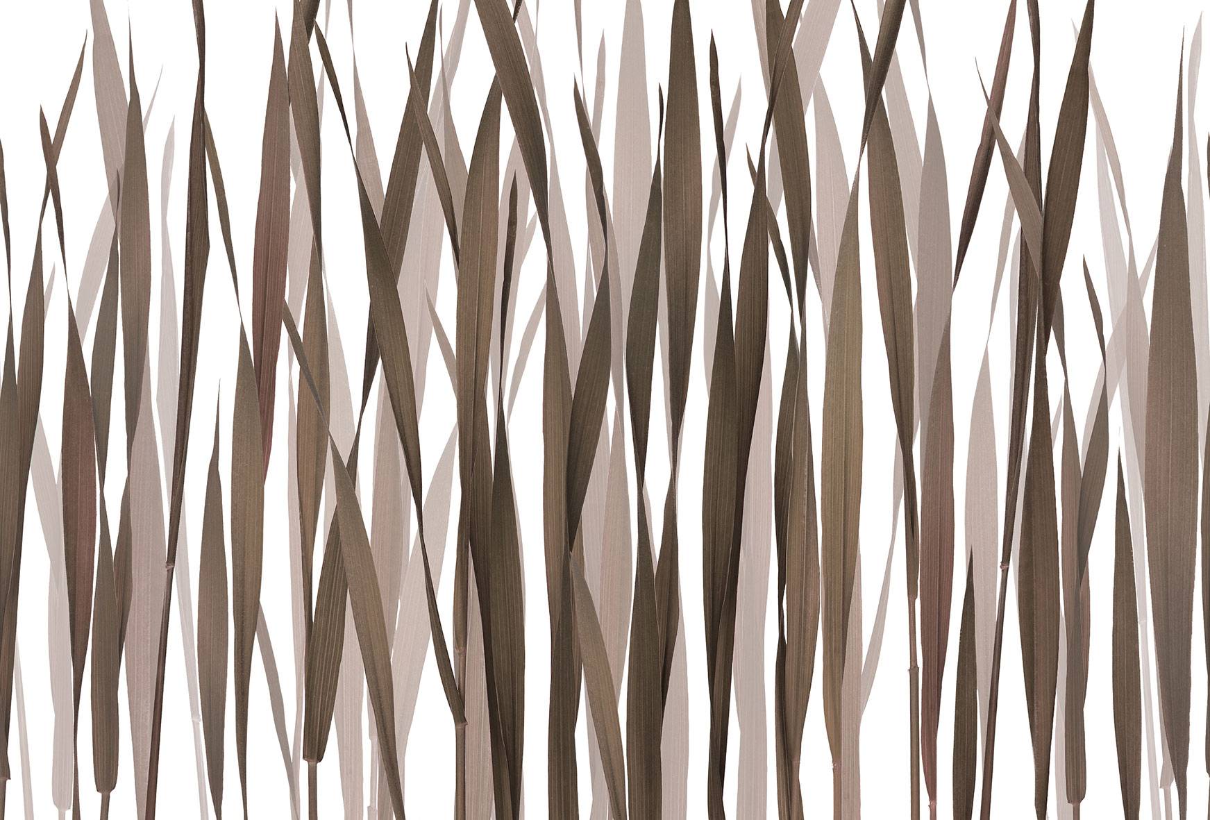 3d Textures for 3ds Max and other software - Glamora-Greenfields-GL2013A