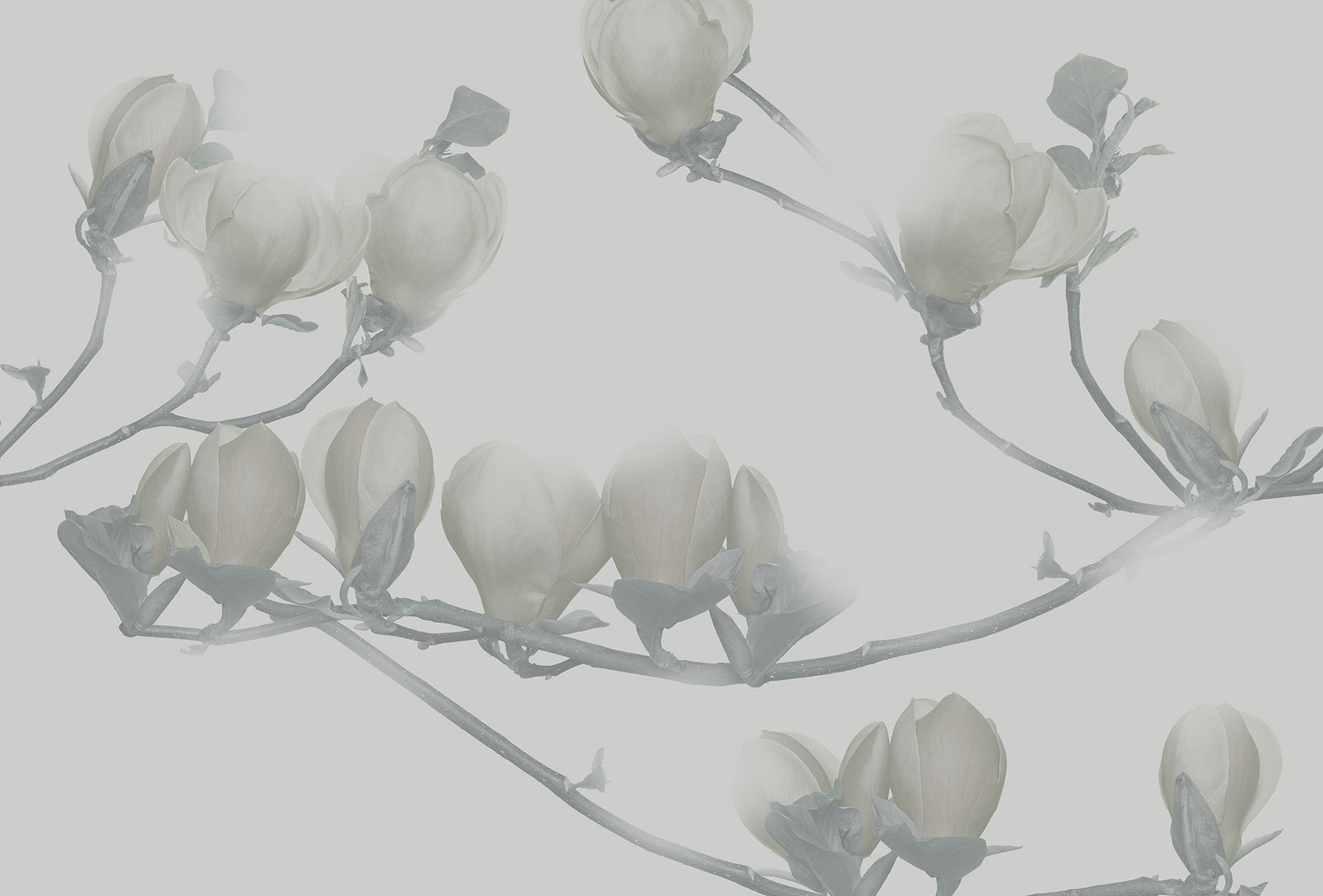 3d Textures for 3ds Max and other software - Glamora-Soulange-GL4041B