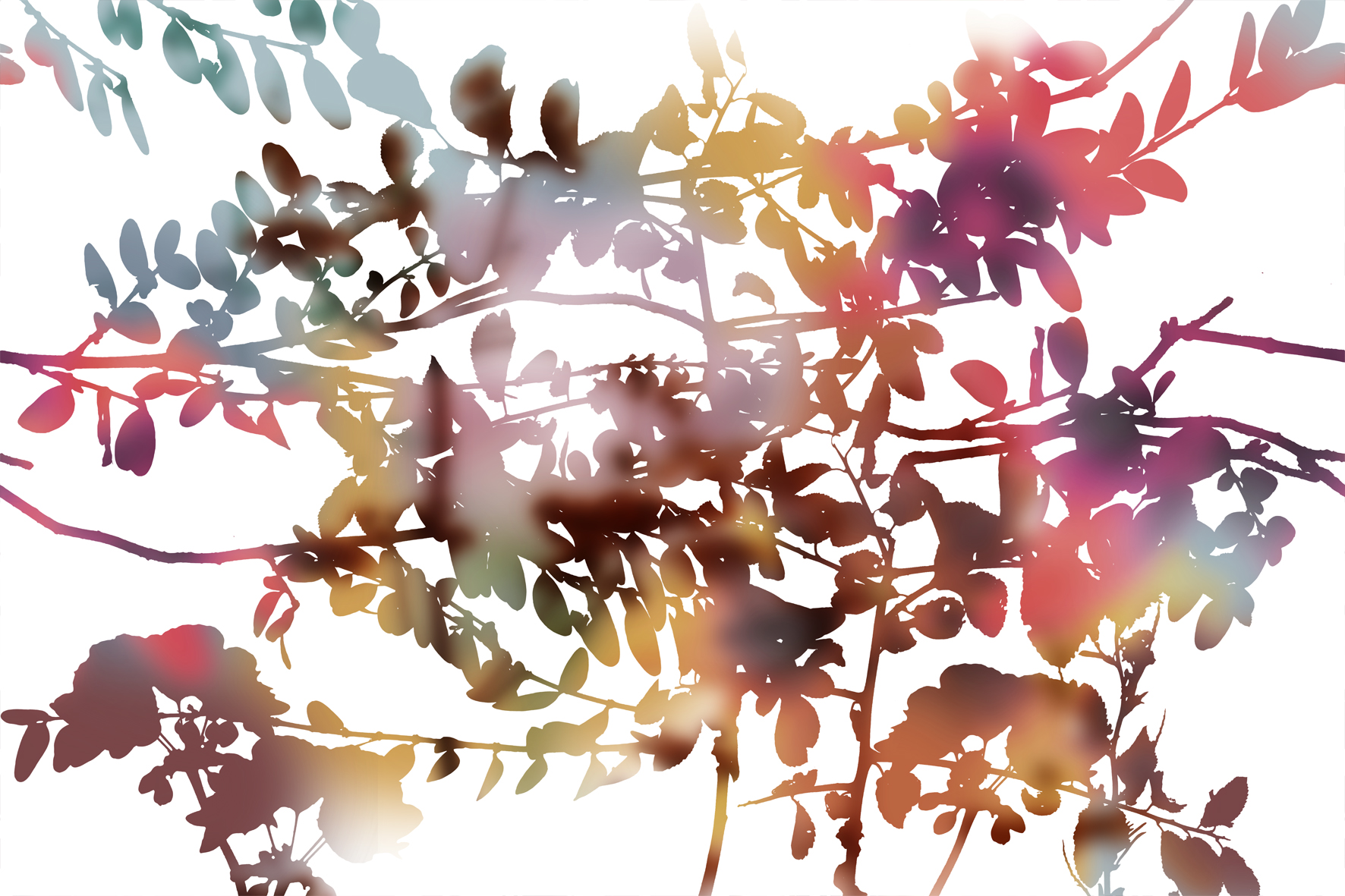 3d Textures for 3ds Max and other software - Glamora-Ghost Garden-GL5131A GHOST GARDEN