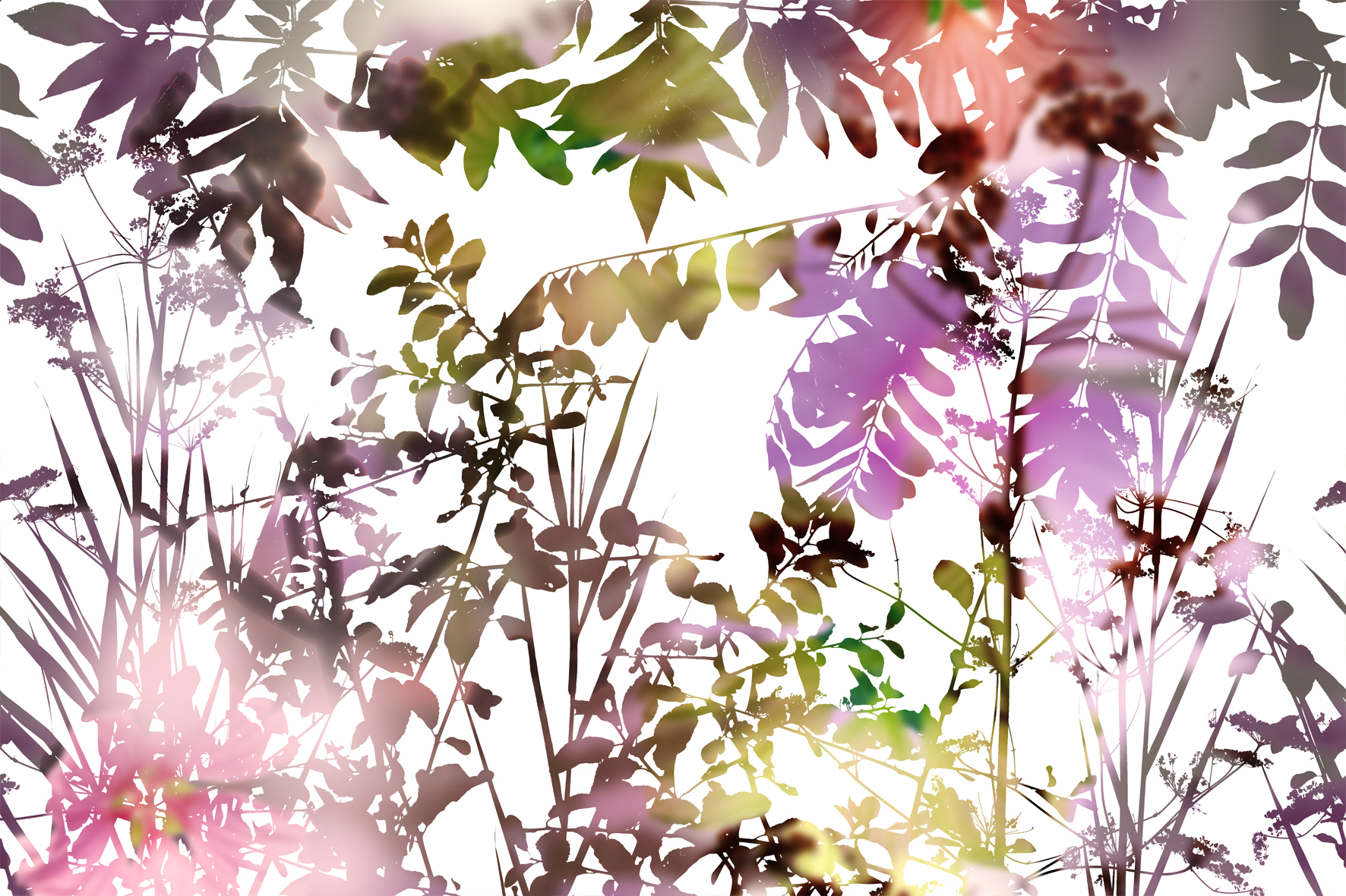 3d Textures for 3ds Max and other software - Glamora-Ghost Garden-GL5132A GHOST GARDEN