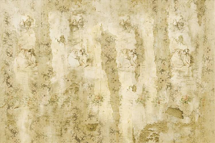 Download 3D Textures Papillon