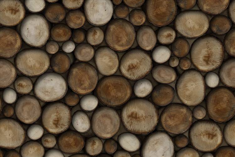 Download 3D Textures Wildwood
