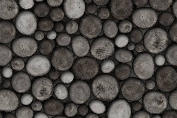 Download 3D Textures Wildwood