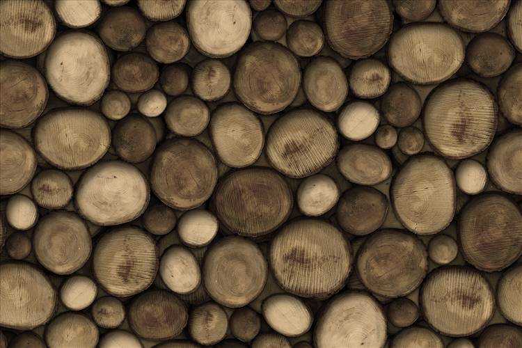 Download 3D Textures Wildwood