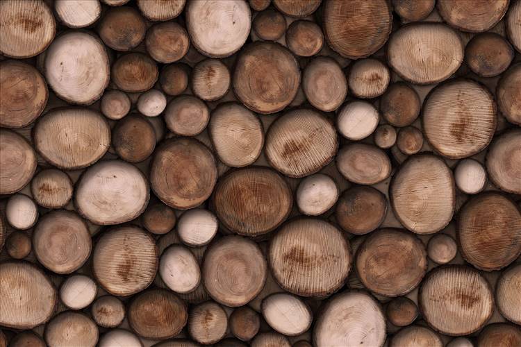 Download 3D Textures Wildwood