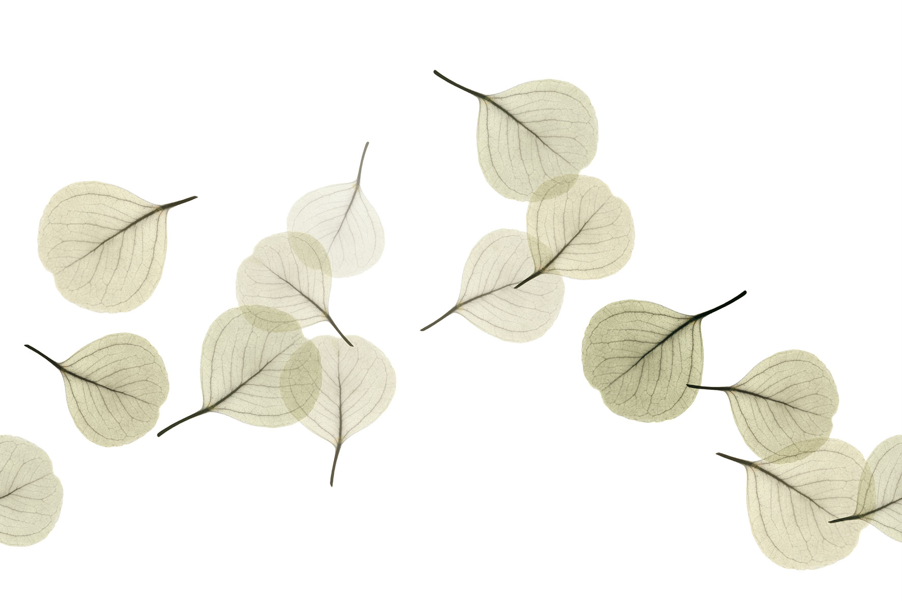 3d Textures for 3ds Max and other software - Glamora-Light Breeze-GL6081B