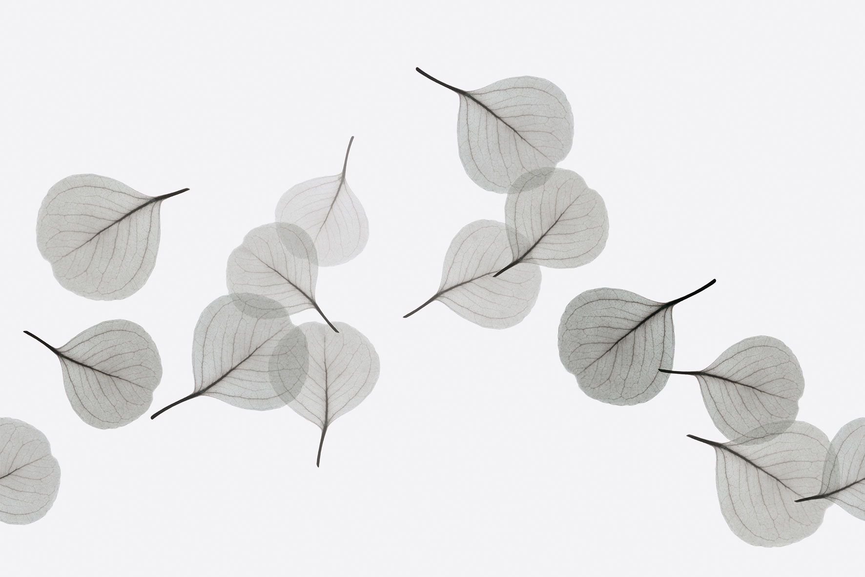 3d Textures for 3ds Max and other software - Glamora-Light Breeze-GL6082B