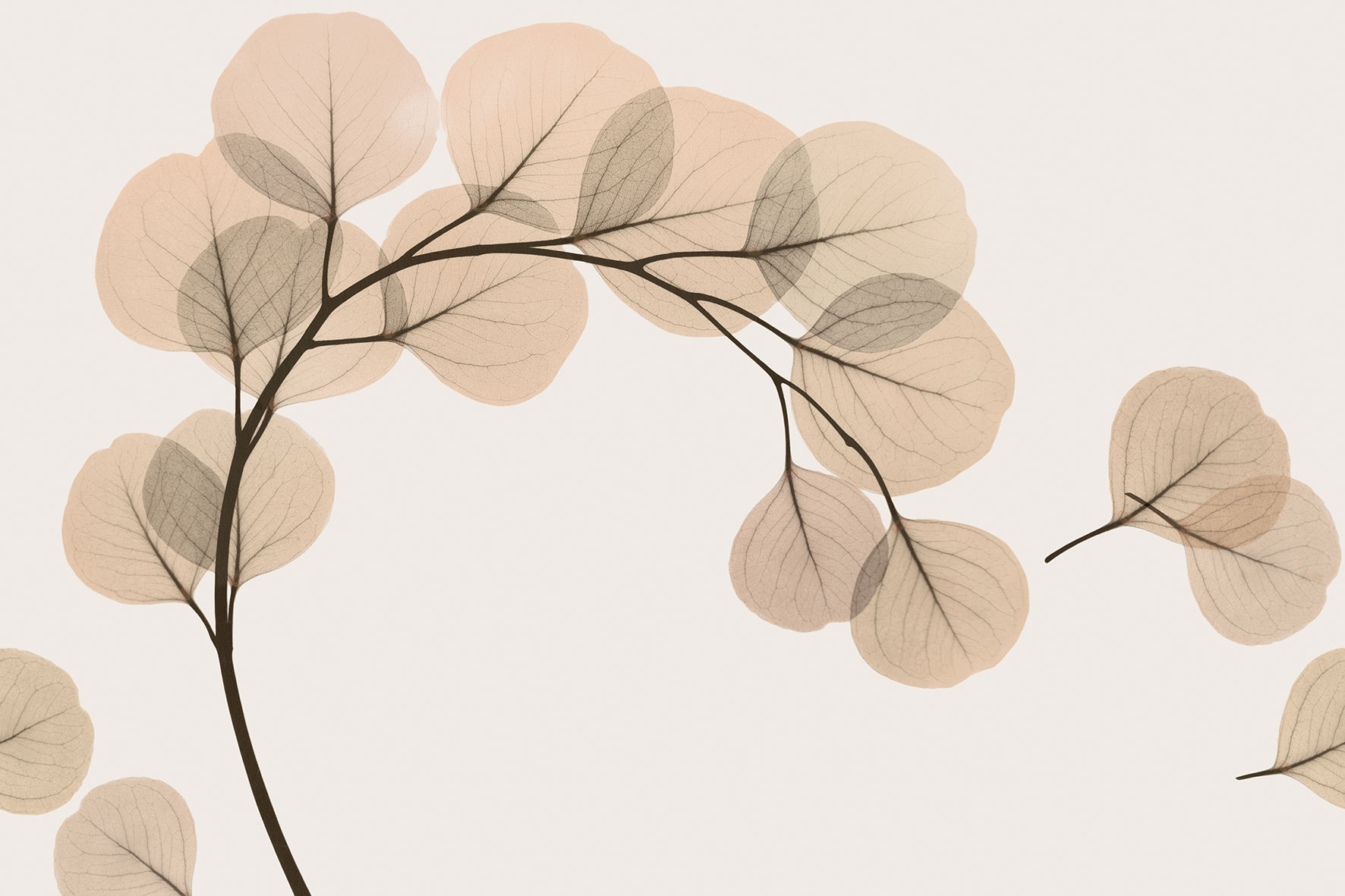 3d Textures for 3ds Max and other software - Glamora-Light Breeze-GL6083A