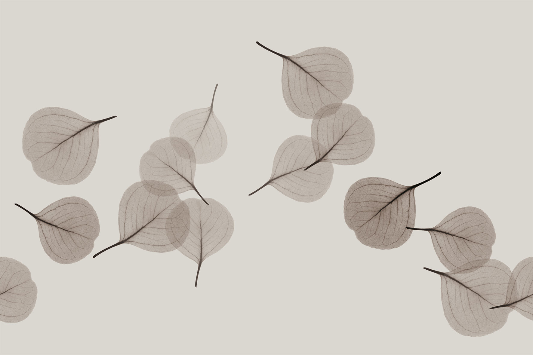 3d Textures for 3ds Max and other software - Glamora-Light Breeze-GL6084B