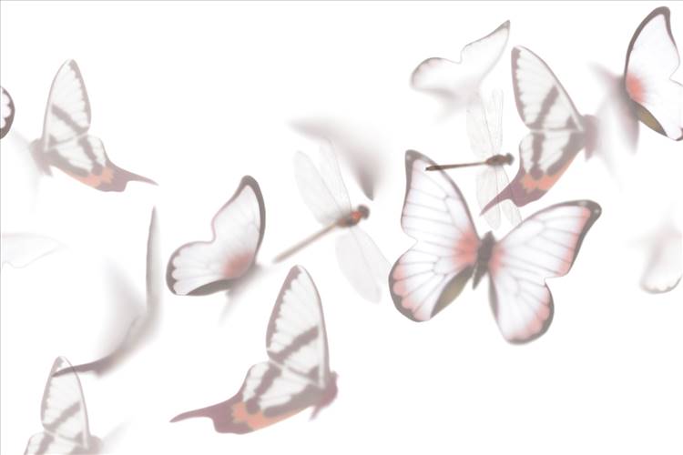 Download 3D Textures Flutterby