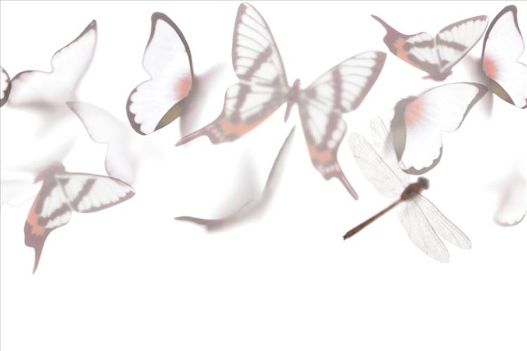 Download 3D Textures Flutterby