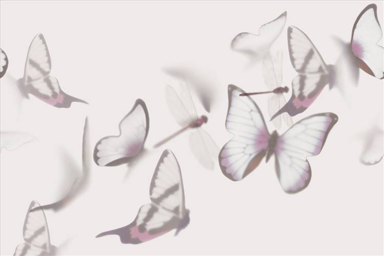 Download 3D Textures Flutterby