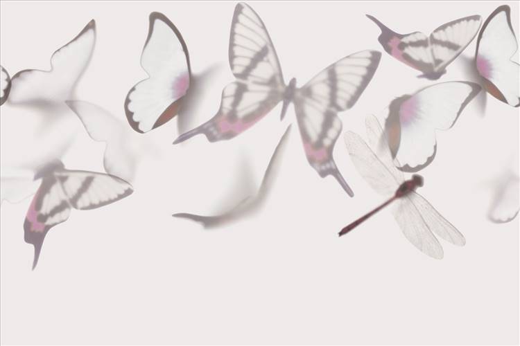 Download 3D Textures Flutterby