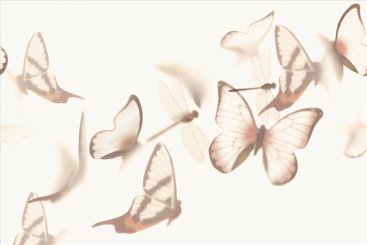 Download 3D Textures Flutterby