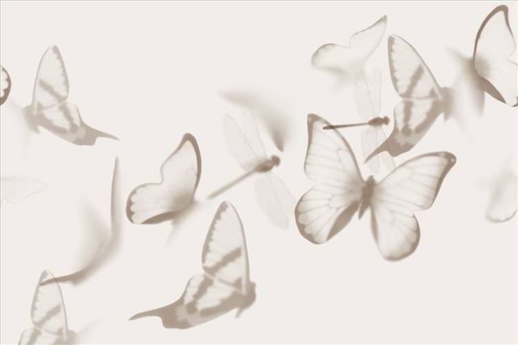 Download 3D Textures Flutterby