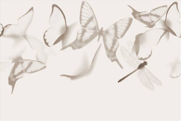 Download 3D Textures Flutterby