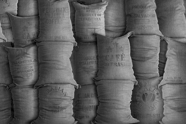 Download 3D Textures Sackville