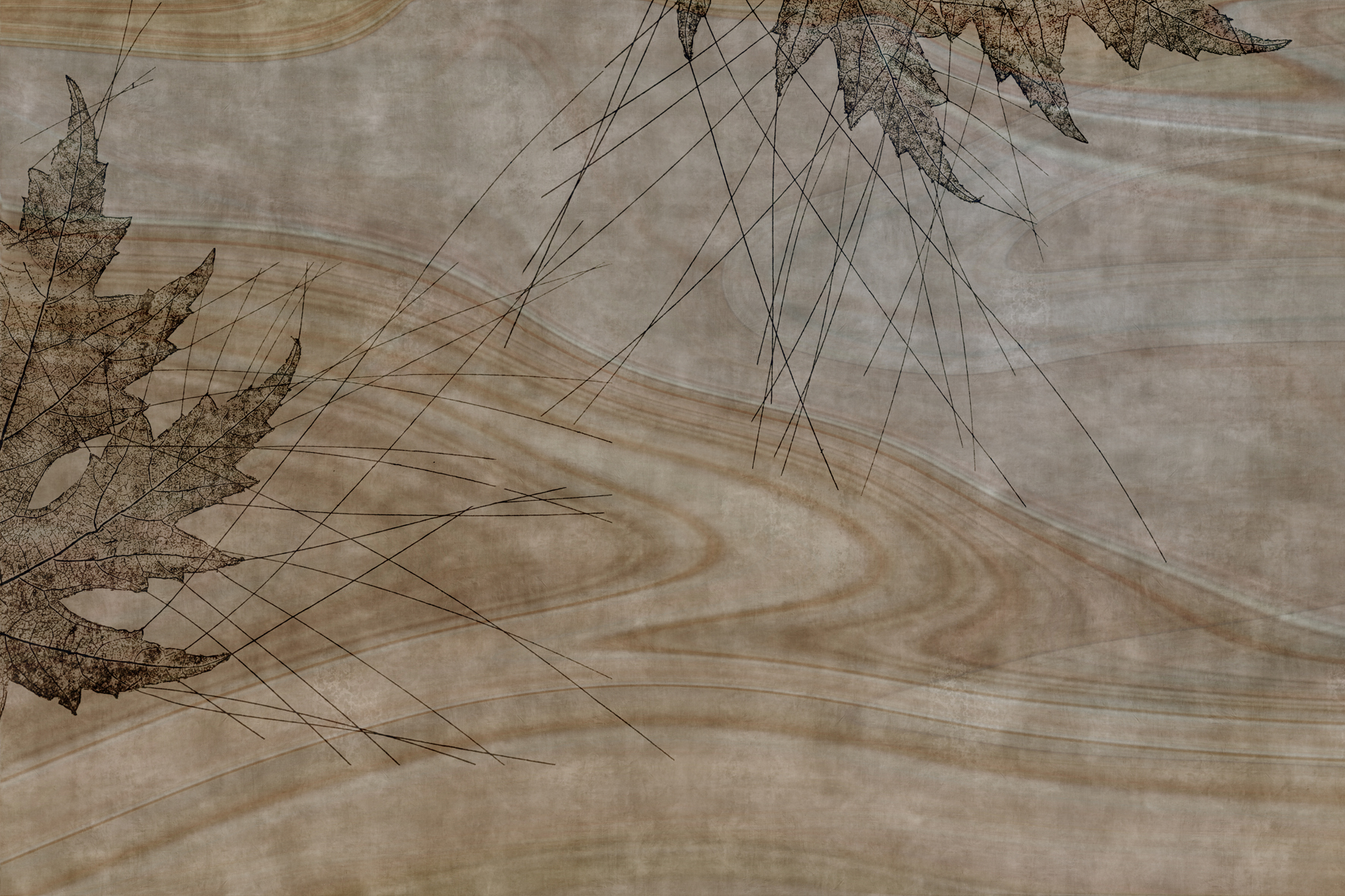3d Textures for 3ds Max and other software - Glamora-Agua Nocturna-GLAG102A