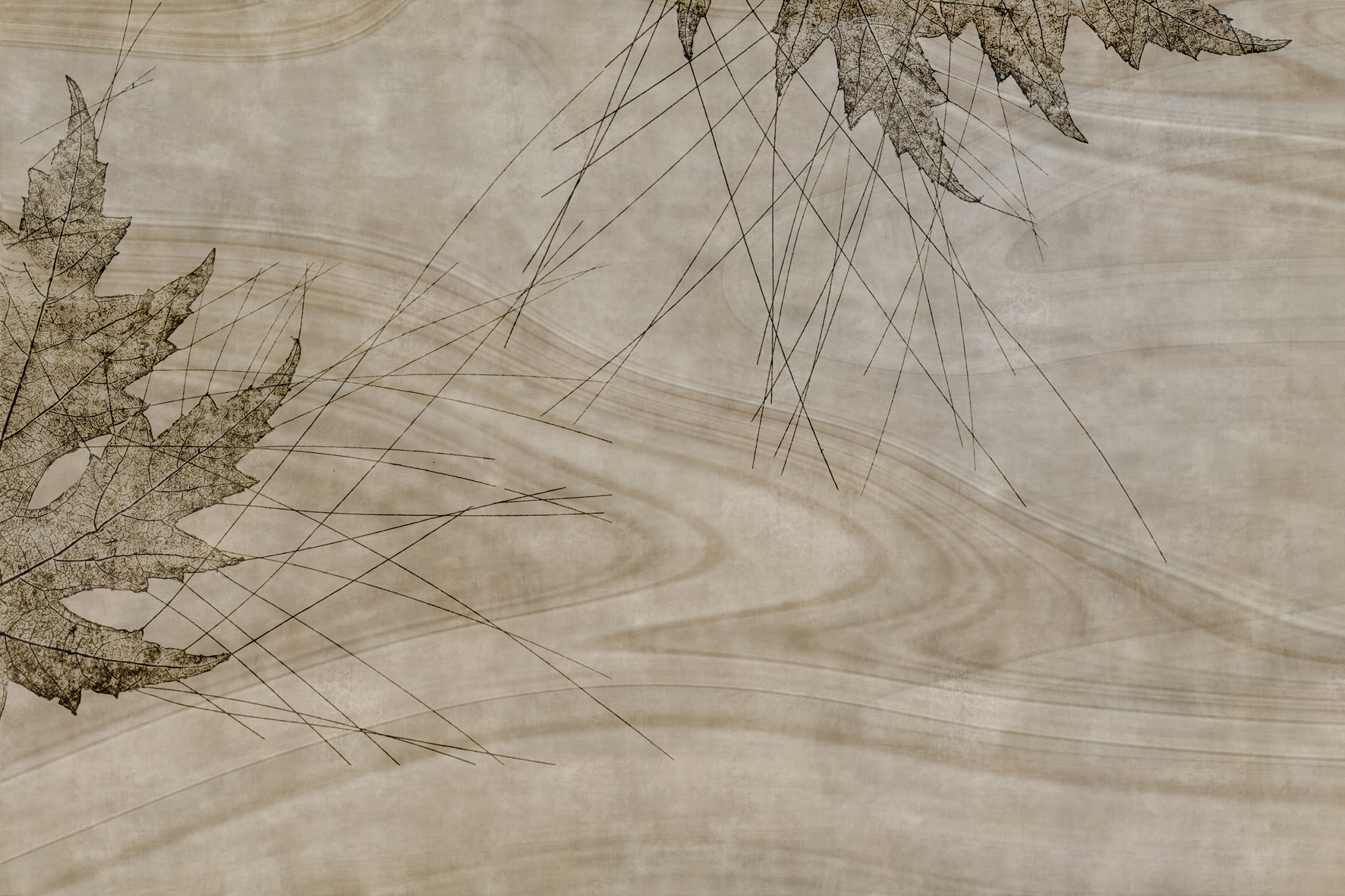 3d Textures for 3ds Max and other software - Glamora-Agua Nocturna-GLAG103A