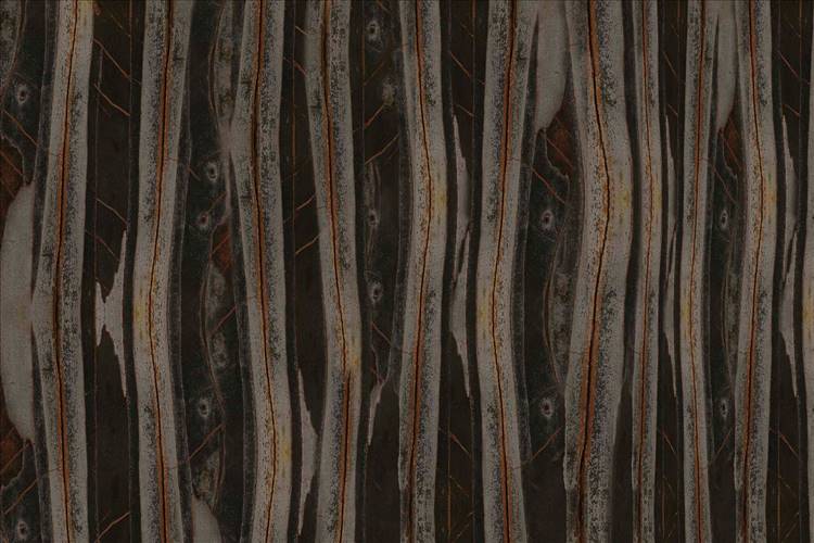 Download 3D Textures Ant