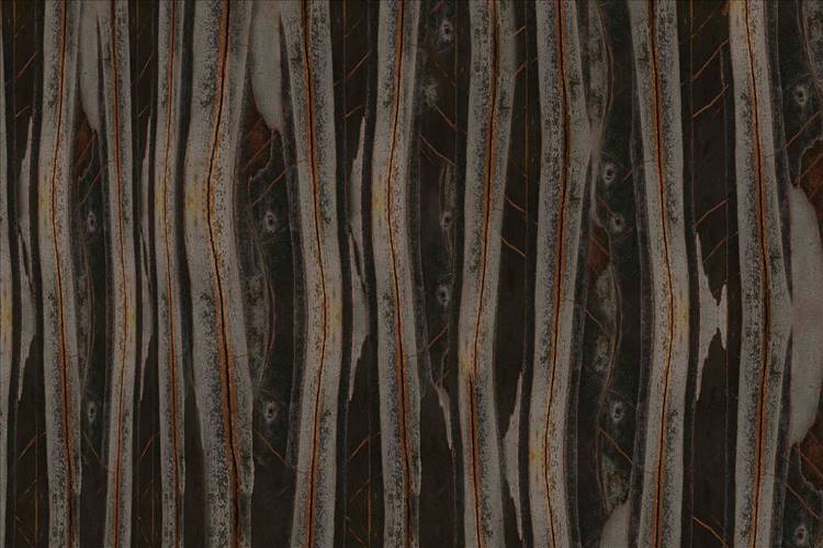 Download 3D Textures Ant