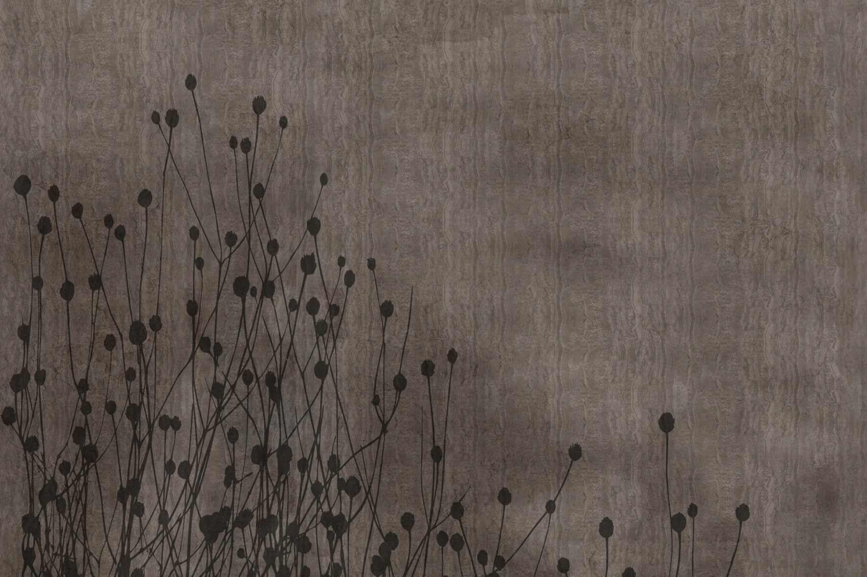 3d Textures for 3ds Max and other software - Glamora-Cicada-GLCR051A