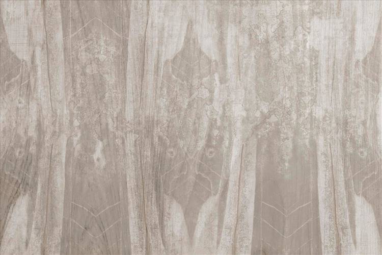 Download 3D Textures Firefly