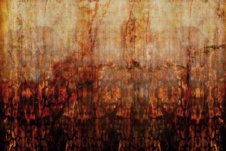 Download 3D Textures Rust