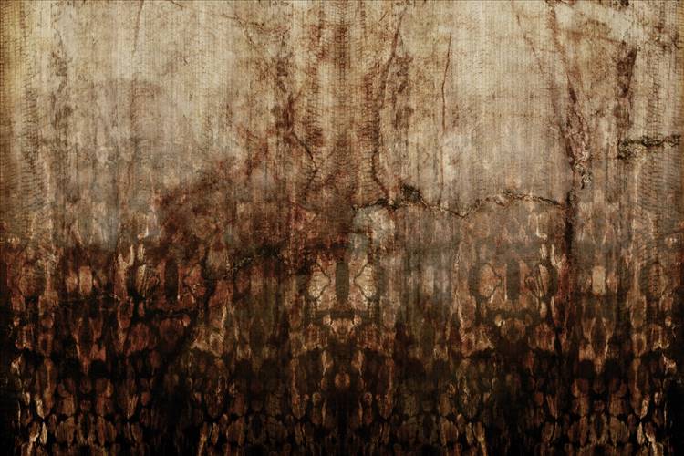 Download 3D Textures Rust
