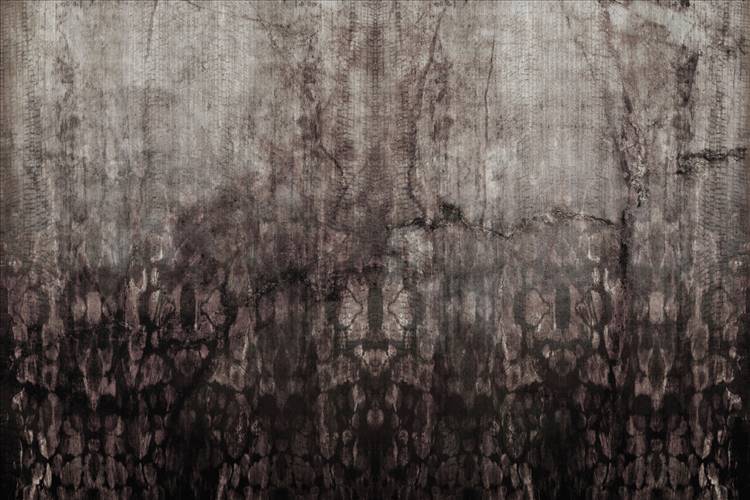 Download 3D Textures Rust