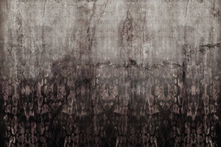 Download 3D Textures Rust