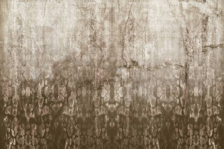 Download 3D Textures Rust
