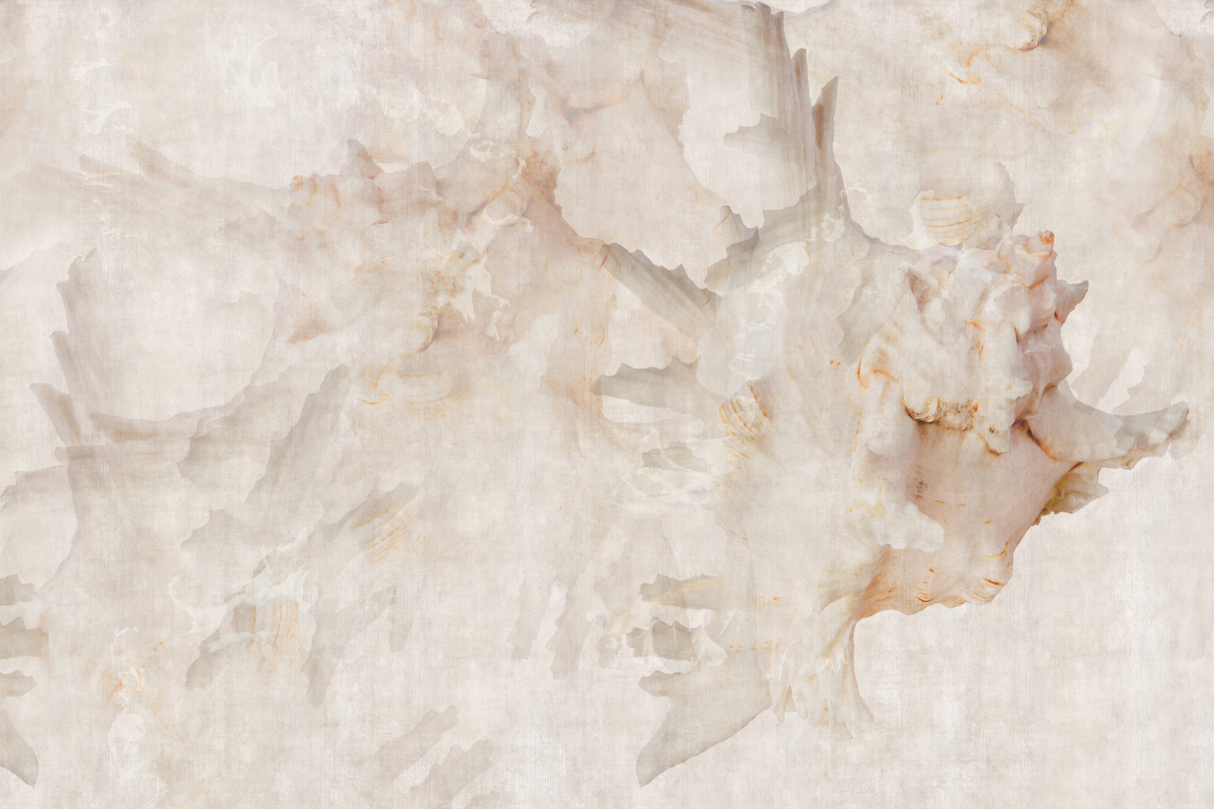 3d Textures for 3ds Max and other software - Glamora-Metamorfosi-GLEV101A