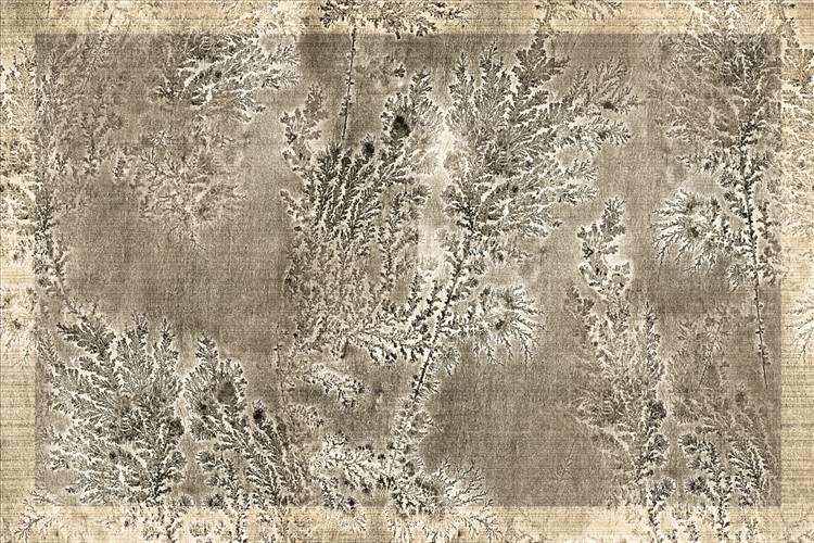 Download 3D Textures Octocorallia
