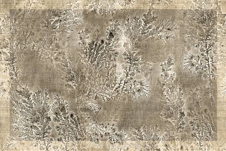 Download 3D Textures Octocorallia