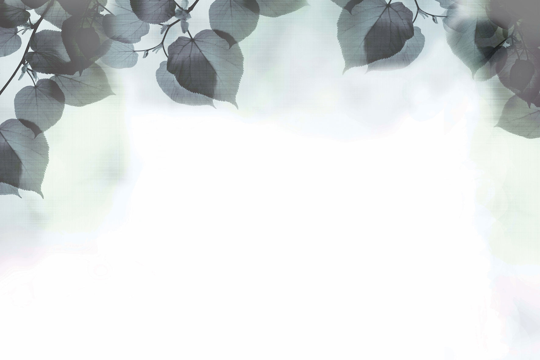 3d Textures for 3ds Max and other software - Glamora-Shadow-GLFR31B