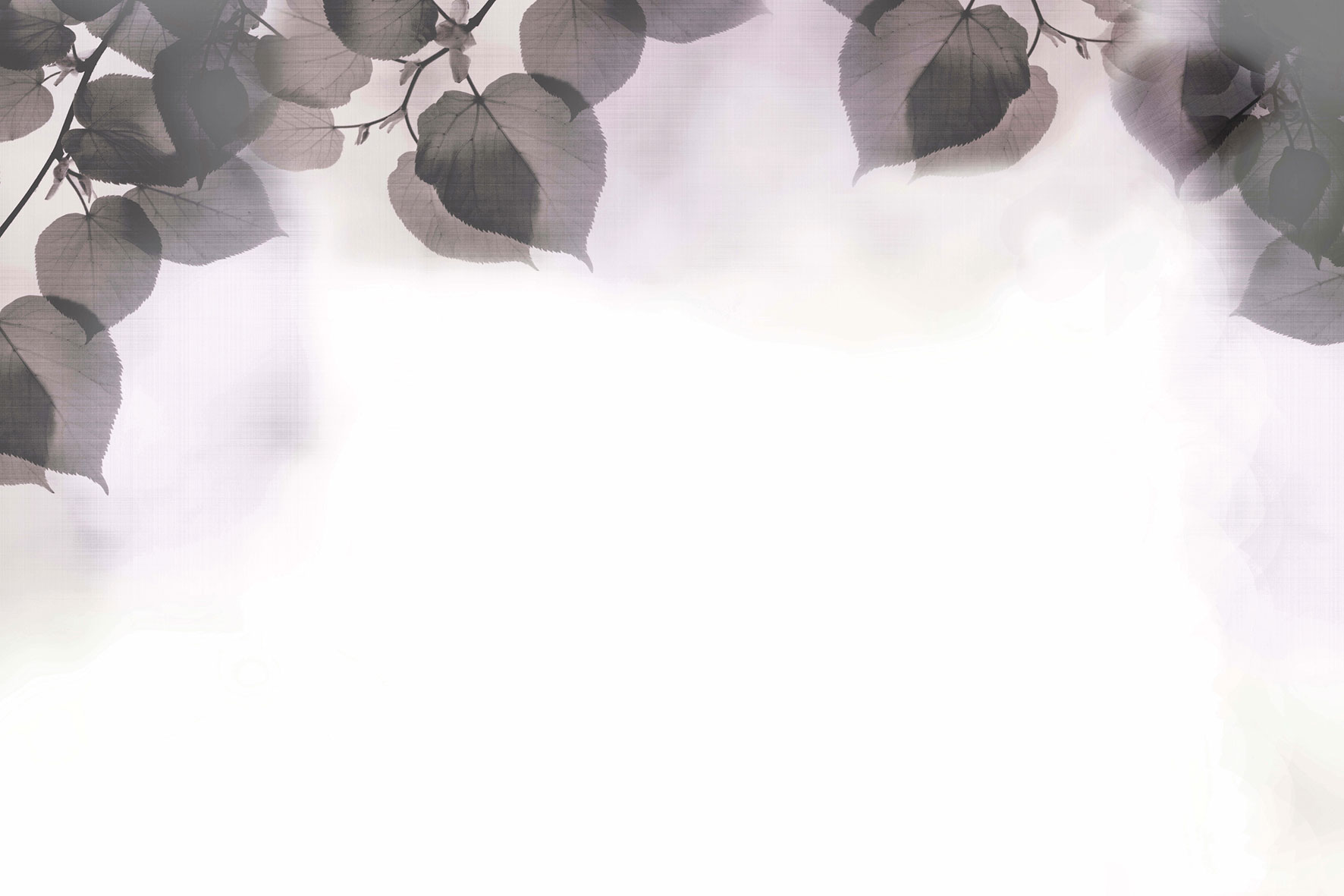 3d Textures for 3ds Max and other software - Glamora-Shadow-GLFR32B