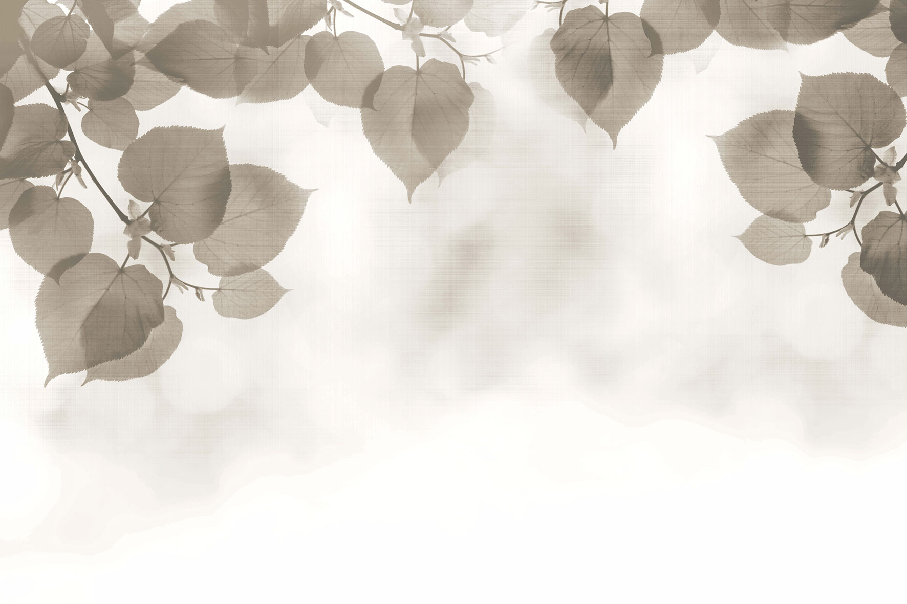 3d Textures for 3ds Max and other software - Glamora-Shadow-GLFR33A