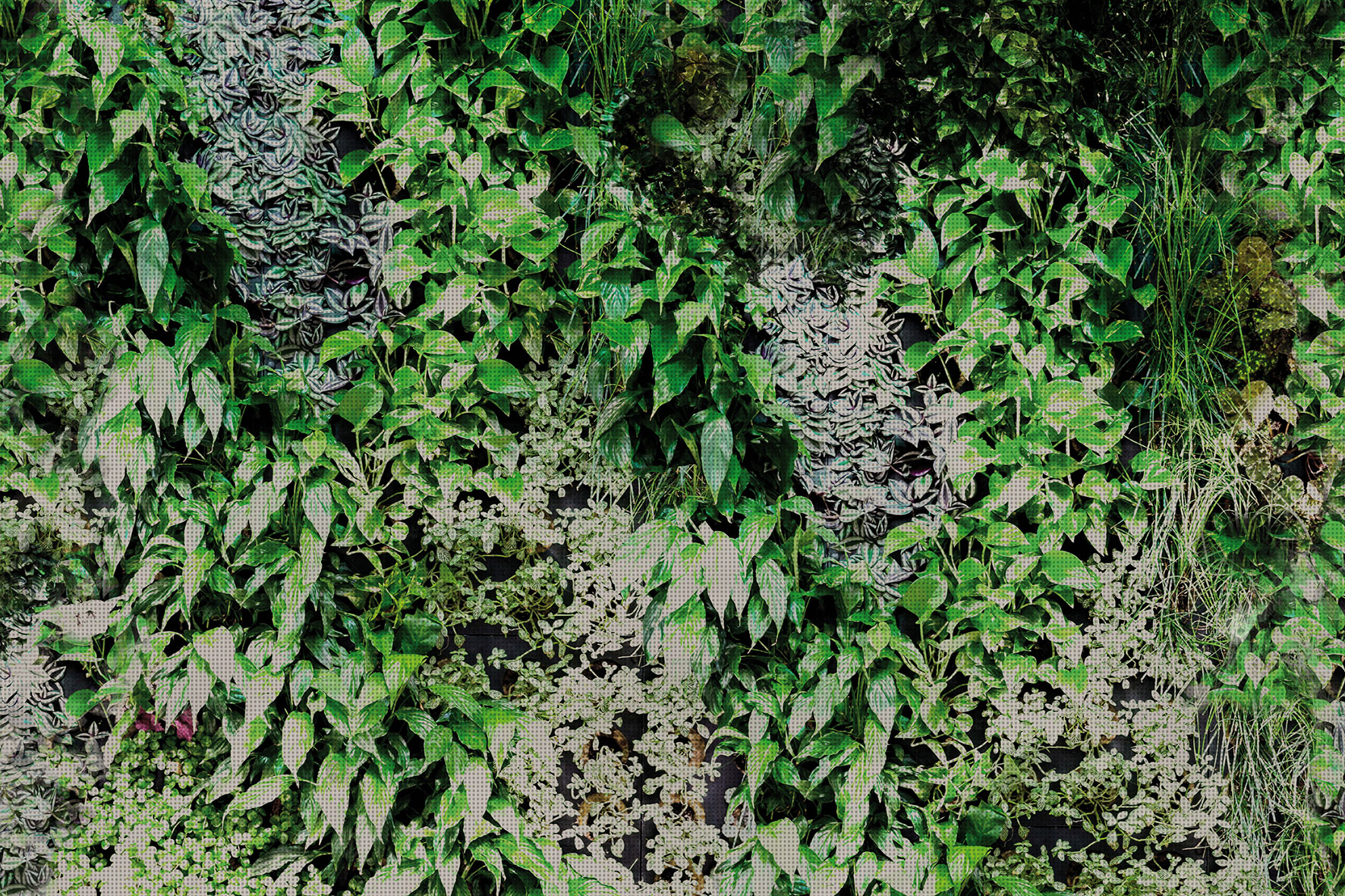 3d Textures for 3ds Max and other software - Glamora-Garden-GLPI20A