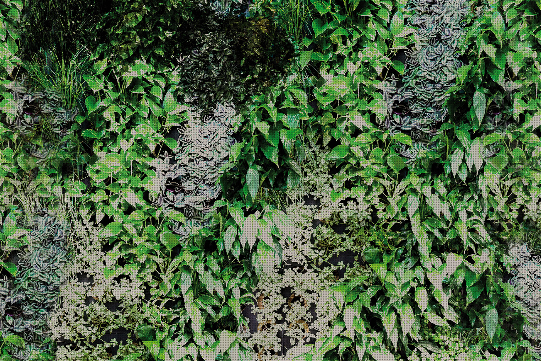 3d Textures for 3ds Max and other software - Glamora-Garden-GLPI20B
