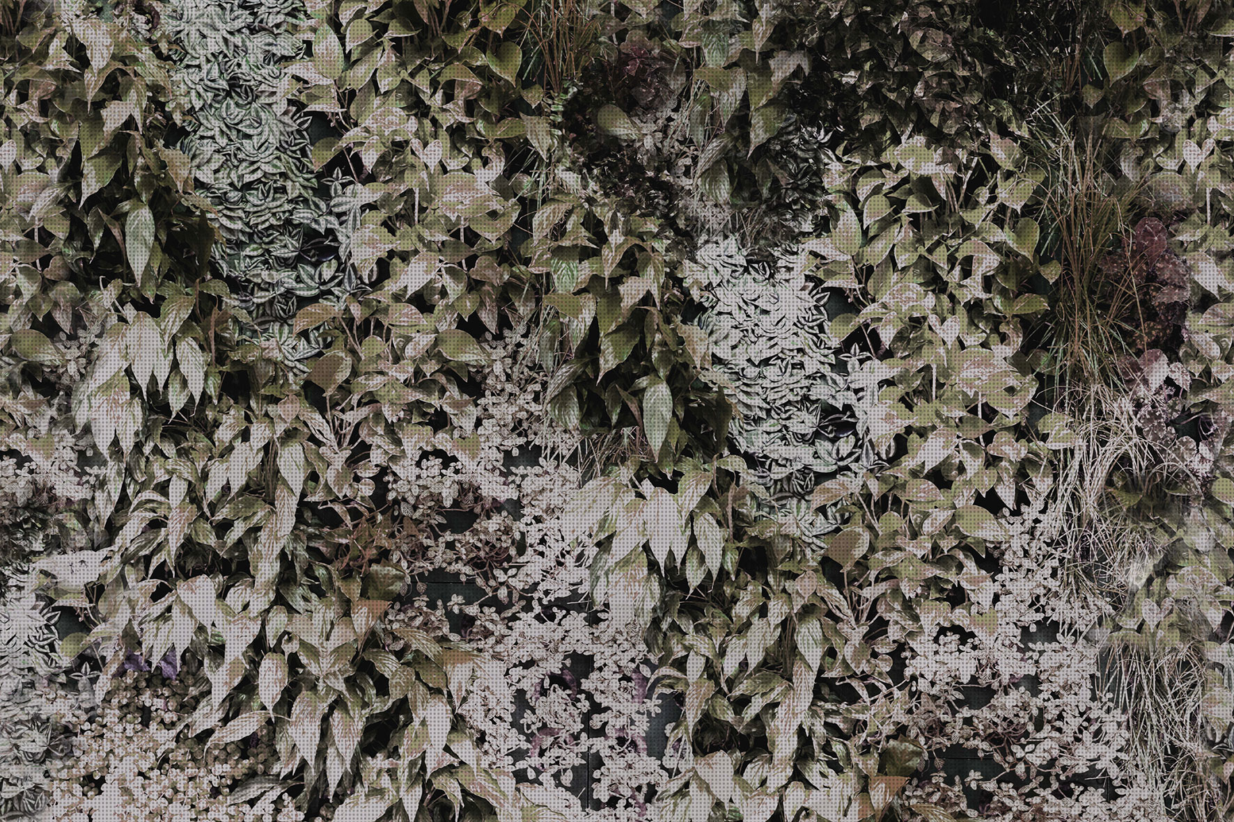 3d Textures for 3ds Max and other software - Glamora-Garden-GLPI21A