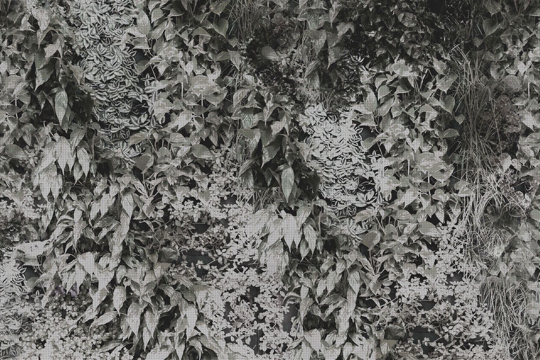 3d Textures for 3ds Max and other software - Glamora-Garden-GLPI22A