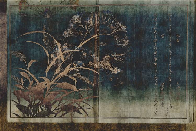 Download 3D Textures Nara