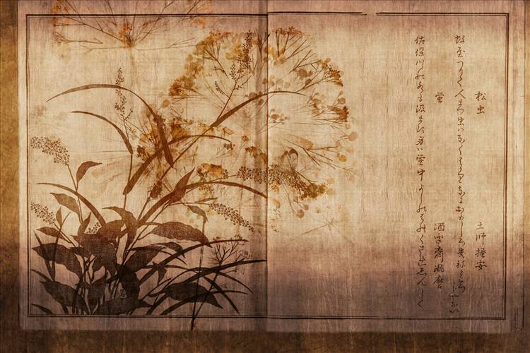 Download 3D Textures Nara