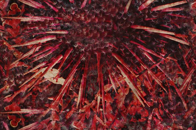 Download 3D Textures Spin